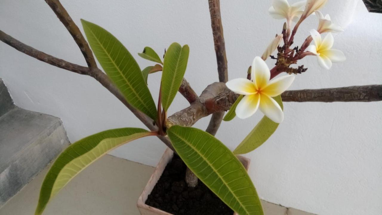 Casa Sol Y Luz - Casa Rural Carboneras Eksteriør billede